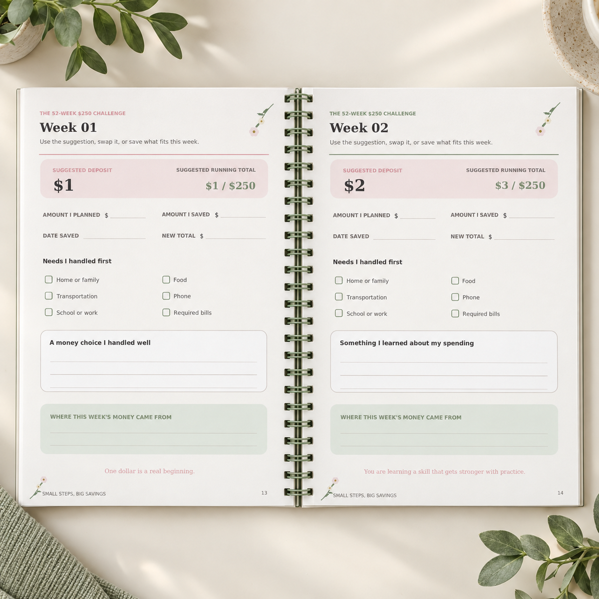 Small Steps, Big Savings: Young Adult Edition